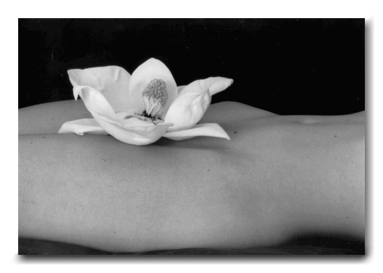 black and white photograph nude woman body with magnolia flower