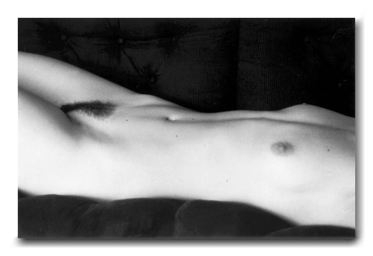 black and white photograph nude female torso